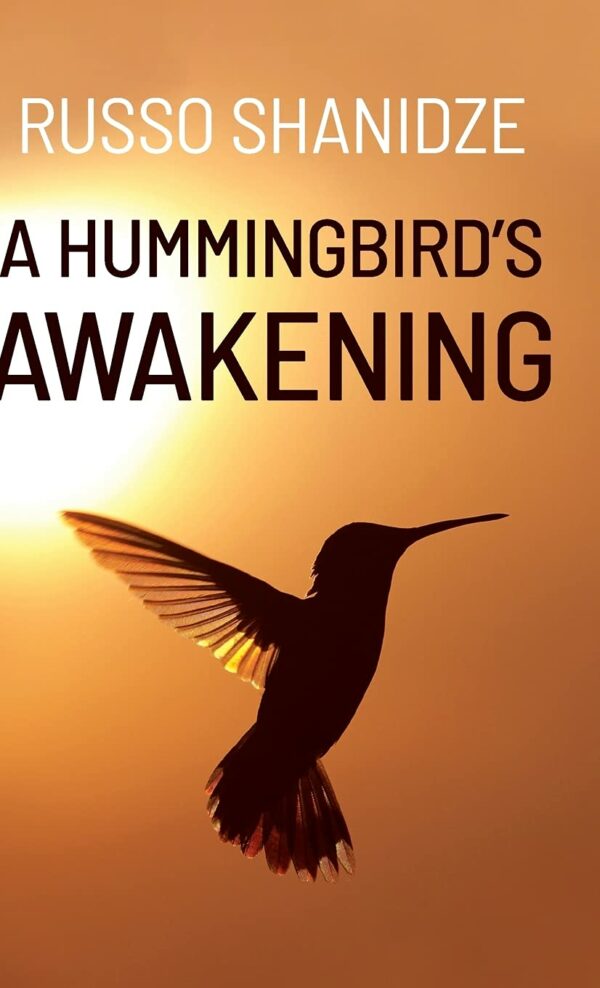 A Hummingbird’s Awakening