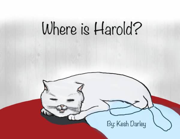 Where Is Harold?