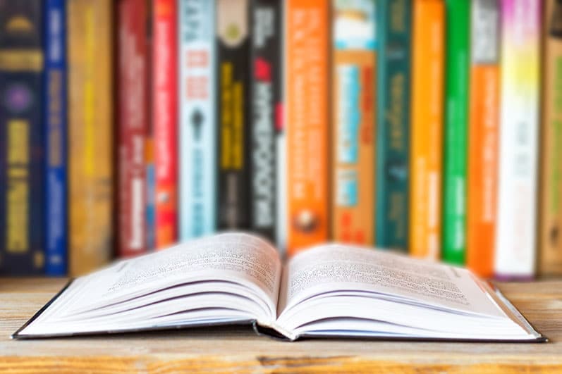 Self-publishing any book genre with Palmetto Publishing.