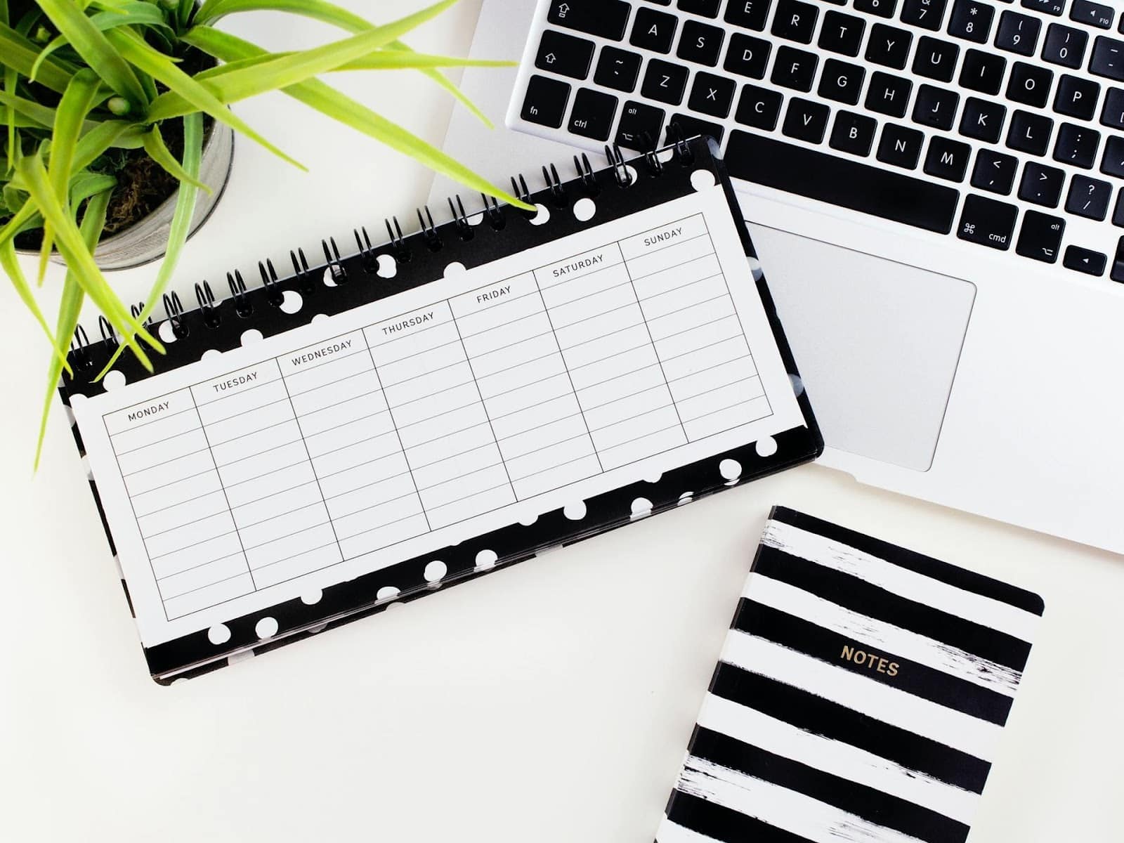 A calendar, notebook, laptop, and potted plant rest on a table.